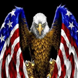 Meet your Posher, Quintin